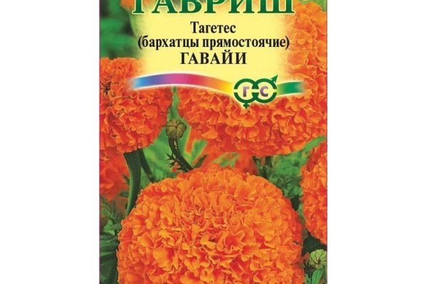 Зайти на сайт кракен