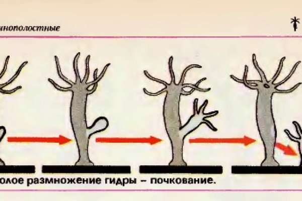 Кракен даркнет в тор