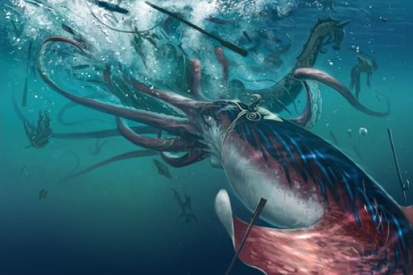 Kraken 17 at net