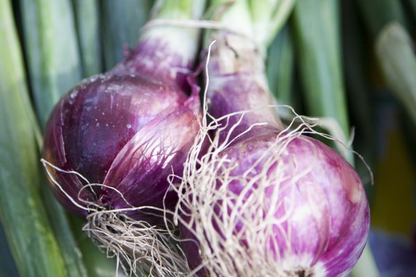 Onion сайт кракен