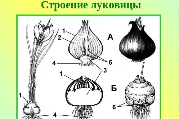 Кракен пишет пользователь не найден