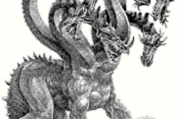 Kraken 12at