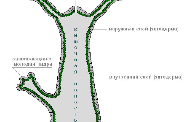 Кракен 2kr pro